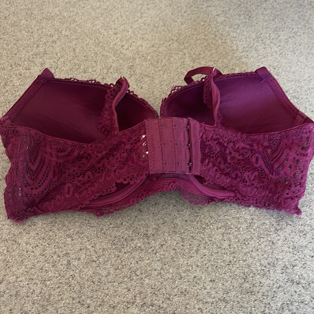 Jessica Simpson Bra - Picture 3 of 4